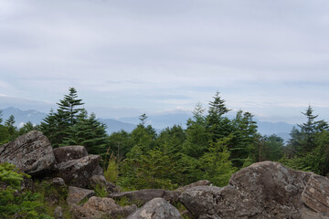 日本：茶臼山／中腹にある中小場と景色【北八ヶ岳】長野県茅野市