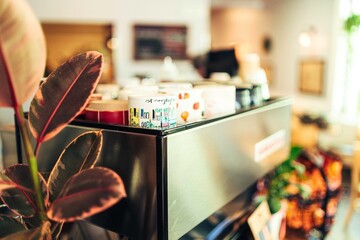 Mugs and Foliage atop Commercial Espresso Machine
