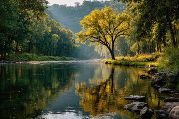 Fototapeta premium Tranquil river reflecting golden tree in serene forest