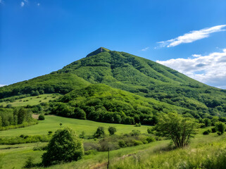 Verdant Mountain Peak Under Bright Blue Sky green trees