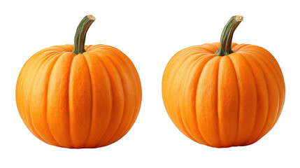 Two vibrant orange pumpkins on a striking black background, seasonal still life