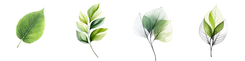Green Leaves: Transparent and Watercolor Foliage Elements