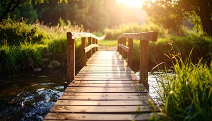 Obraz premium A wooden footbridge crosses a tranquil stream amidst lush greenery at golden hour.