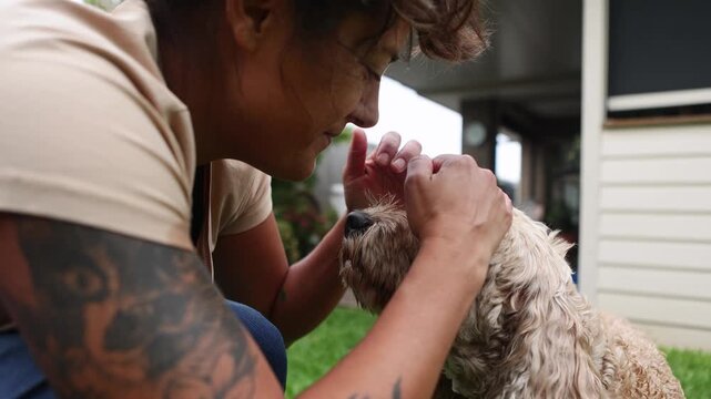Woman grooming her wet cockapoo dog in backyard