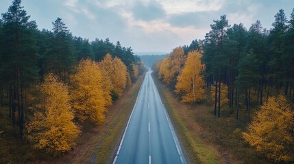 Obraz premium Empty road through autumn forest