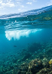 Underwater Scene Showing Coral Reef and Fish Beneath Ocean Surface in Clear Blue Water