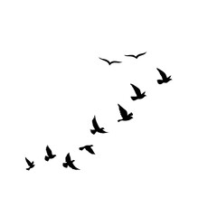 Fototapeta premium Flying Bird Silhouette Vector Set for Tattoos and Nature Art