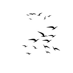 Fototapeta premium Flying Birds Silhouette Vector Set for Tattoo and Nature Art Designs