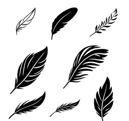 Obraz premium set of feathers vector