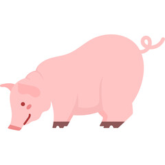 Pig Flat Illustration