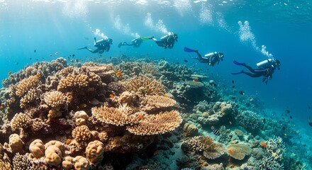Fototapeta premium Underwater Scuba Divers Exploring Vibrant Coral Reef in Clear Blue Ocean