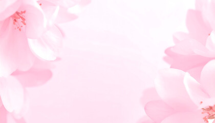 A beautiful frame of delicate pink blossoms against a soft white background, evoking springtime romance and gentleness.