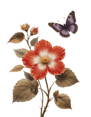 A vibrant collection of floral illustrations, featuring hibiscus and poppies, creates a seamless spring pattern