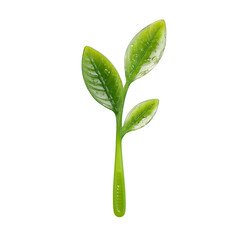 Fresh Green Leaf Design: Eco-Friendly and Sustainable Product Concept