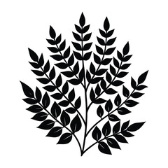 Fototapeta premium Elegant Black Silhouette Botanical Branch Clipart Free Download on White Background