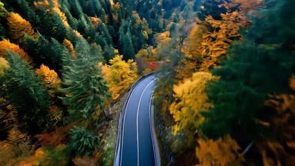 Winding road with autumn forest, and aerial view. - Powered by Adobe