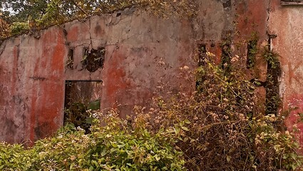 Abandoned Building Wall with Small Square Windows and Overgrown Vegetation in Urban Decay Scene