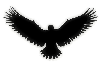Obraz premium Bird Silhouette Flying with Wings Spread on White Background