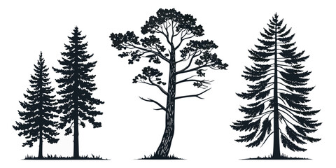 Minimalist Conifer Tree Set - Vector Silhouettes of Pine, Spruce & Cedar