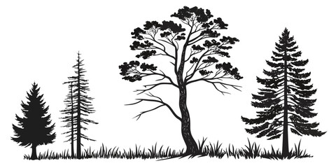 Obraz premium Minimalist Vector Silhouette Collection of Coniferous Trees – Pine, Spruce, and Cedar