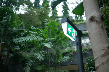 Exit sign within lush tropical foliage in urban area
