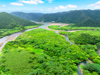 住用川マングローブ原生林（鹿児島県 奄美大島）