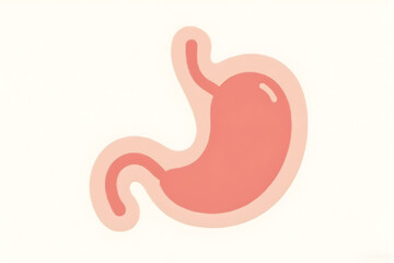 Stomach Illustration on White Background for Medical Use