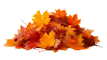 A vibrant pile of autumn leaves showcasing shades of orange, yellow, and red, perfect for seasonal themes and nature photography.