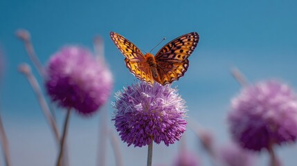 A vibrant orange butterfly with intricate wing patterns delicately rests atop a fluffy, pale-purple globe flower against a clear blue sky, surrounded by similar blossoms in a shallow depth of field
