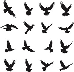 Obraz premium set of Dove flight Silhouette vector