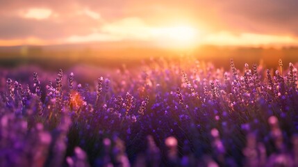 Stylized floral icon presents pink and blue flowers on a rounded pastel square; minimalist design.