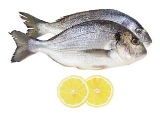 fresh gilthead sea bream with lemon slices on transparent background.