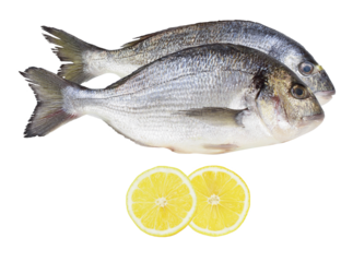 fresh gilthead sea bream with lemon slices on transparent background.