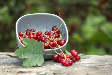 Red Currants in a Bowl on a Rustic Wooden Table Outdoors