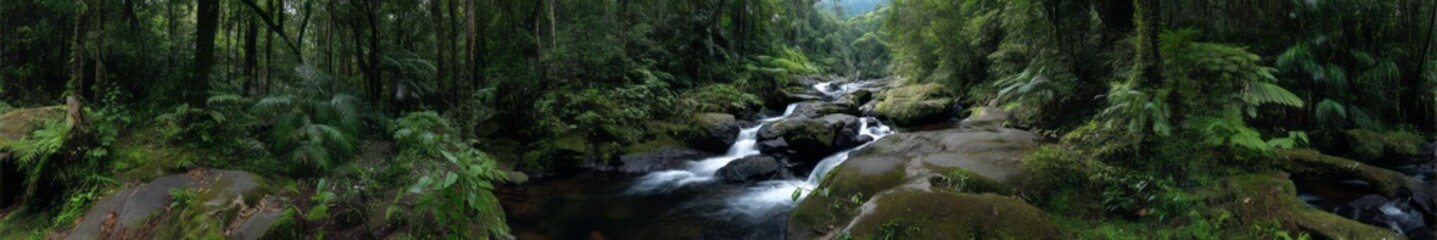 Nature waterfall adventure forest hdr 360 panorama