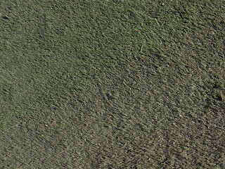 暗い人工芝のテクスチャ背景