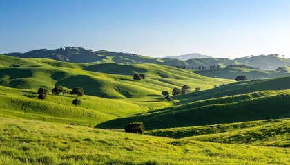 Naklejka premium Serene Green Hills and Minimalist Nature Scene Under Bright Blue Sky with Rolling Slopes and Fresh Outdoor Atmosphere 