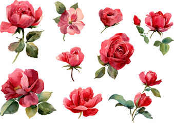 Floral Pink Roses Clipart