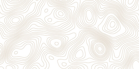 seamless topographic map pattern on a white background featuring abstract contour lines  creating an abstract and visually appealing design art piece