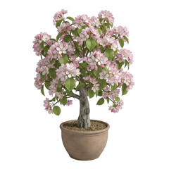 Naklejka premium Pink crabapple tree in bloom in terracotta pot isolated on a transparent background