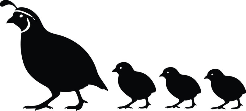 A charming silhouette of a quail family, depicting a mother quail walking with her three adorable chicks in tow, a minimalist design