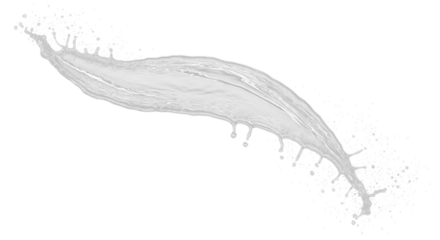 A vector sketch of a black feather isolated on a white background, perfect for a vintage nature illustration or design