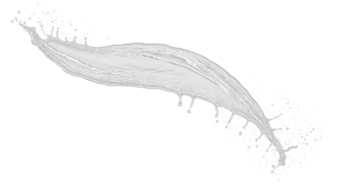 A vector sketch of a black feather isolated on a white background, perfect for a vintage nature illustration or design
