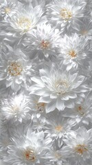 Close-up of many white flowers,  softly lit,  creating a textured pattern