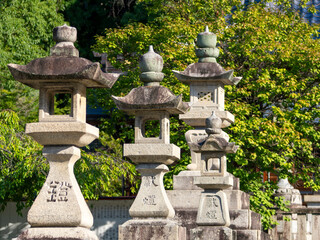 Obraz premium 神社に建ち並ぶ石灯籠