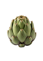 Obraz premium Mature artichoke with browning outer leaves and fresh green inner leaves, isolated on a transparent background with soft studio light, a precise objective study of natural decay