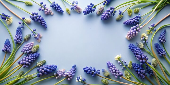 A delicate arrangement of spring grape hyacinth blossoms creates a charming frame on a pastel blue background, perfect for invitations or announcements.