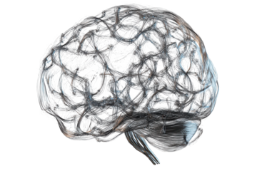 Visualization of isolated brain synapses showcasing intricate neural connections and transparent structures with a focus on brain technology in contemporary science