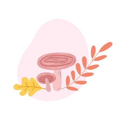 Edible mushrooms coral milky cap and autumn leaves. Autumn harvest and gifts of the forest. Vector illustration.