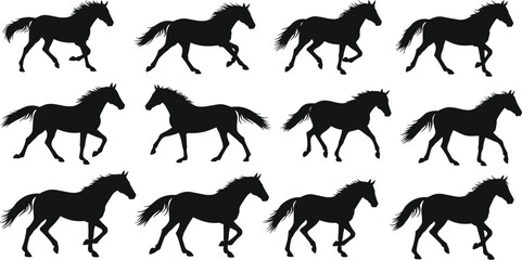 Twelve detailed silhouettes of a powerful running horse, showcasing different gaits and dynamic motion, perfect for equine and animal-themed projects.